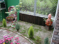 ց@Av[`̐H@Q̎ʐ^